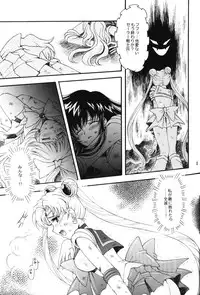 (C67) [Kotori Jimusho (Sakura Bunchou)] chanson de I'adieu (Sailor Moon)