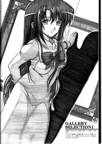 (SC40) [HANA TO RIBON (Puripuri Uemon)] Seinen Hana to Ribon 30 "Dentou no Daikyou !"(Soul Eater)