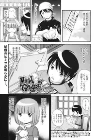 COMIC 0EX Vol. 23 2009-11