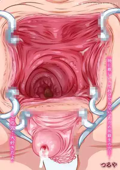 INSIDES - Onnanoko no Nakami Marumie Mook