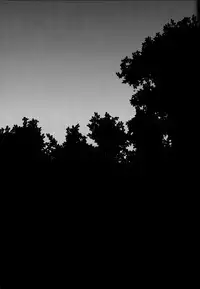 (FALL OF WALL2) [Little Ones (Asam)] Hegira (Shingeki no Kyojin)