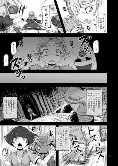 幻想妖媚録 オーク