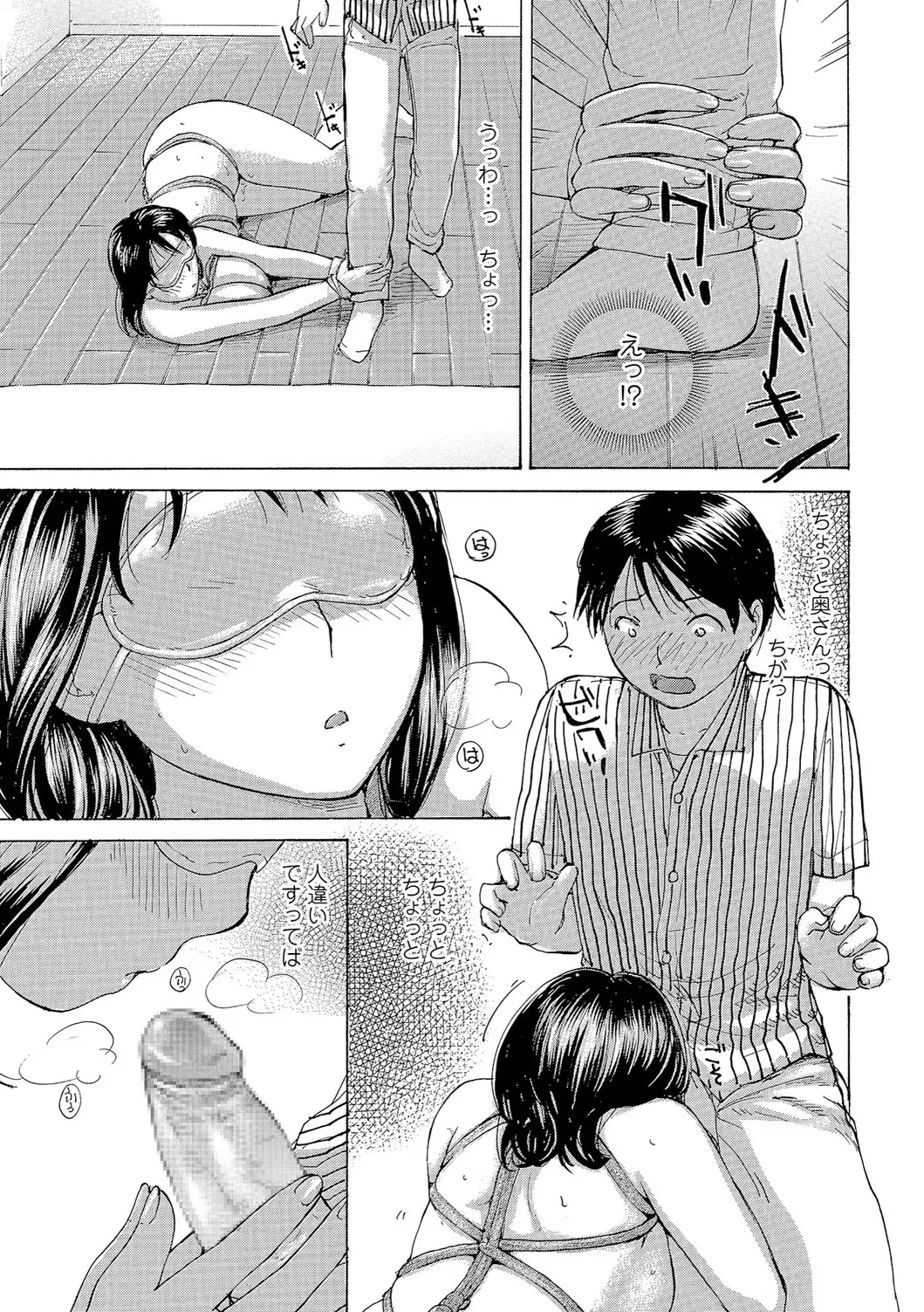 Oku-san wa Hametagari