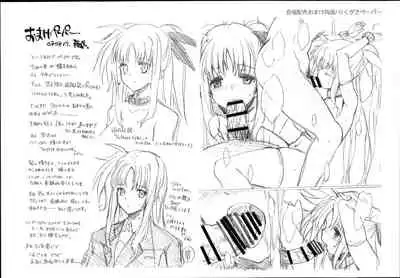 SICOSICO COLLECTION 01