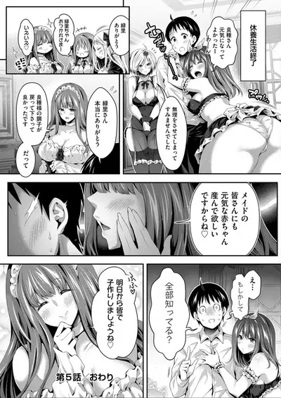 Harem Maid No Damedame Ecchi