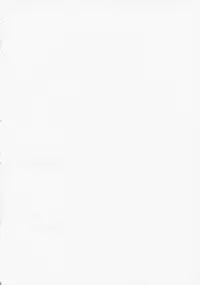 (C73) [Toko-ya (HEIZO, Kitoen)] Yasashii Uta 2 | Gentle Song 2 (Breath of Fire II) [English]