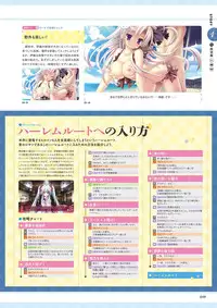 Unmei Senjou no φ Visual Fanbook