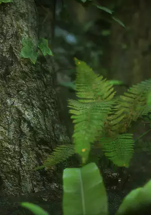 - Elf Slave 7-Double Trouble