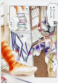 [Kanata] Vanity Fair