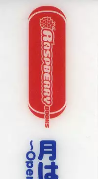 Tsuki wa Higashi ni Hi wa Nishi ni - Operation Sanctuary - Visual Fan Book Shokai Ban