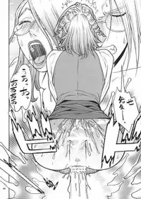 (CR33) [From Japan (Aki Kyouma)] FIGHTERS GIGA COMICS FGC ROUND 4 (Dead or Alive)