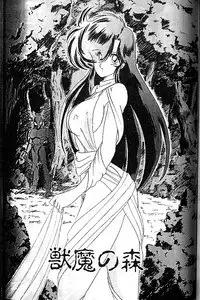 [Kamitou Masaki] Seirei Tokusou Fairy Saber [Tennyo Matouhen]