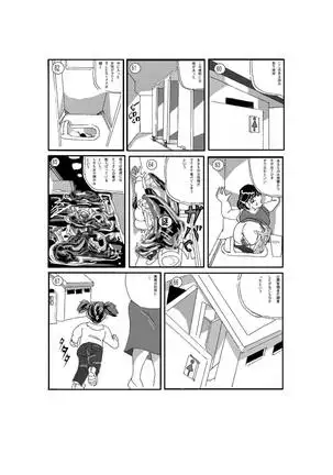 The Vicious Liquid Lady's Room