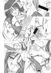 (SC19) [16Nights (Ibuki Wataru, Tachibana Surimu, Takahashi Hidenori)] Palace Pire (Ragnarok Online)