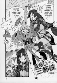 (C92) [Marutori no Chazuke (Torichamaru)] Seihitsu-chan wa Sawareraretai | Serenity-chan wants to be touched (Fate/Grand Order) [English]