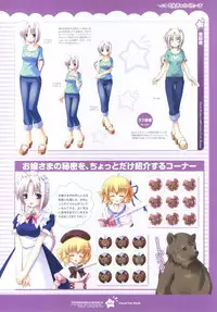 Tsunagaru Bangle - Visual Fan Book