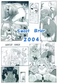 [Sweet Brier] Fate Stay Night Fan Book Vol. 1( Fate/stay night)