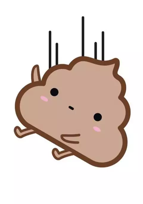 What the PooP