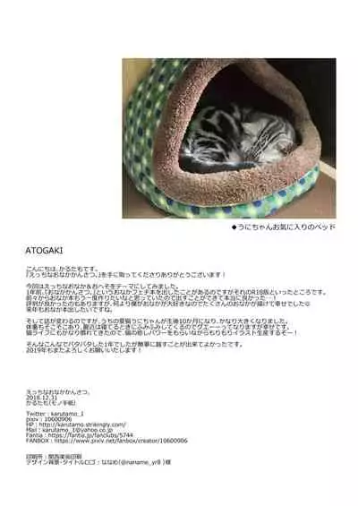 Ecchi na Onaka Kansatsu.