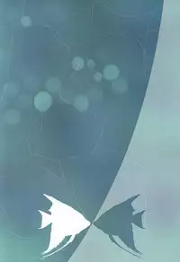エンゼルフィッシュの羽根 (Free!)