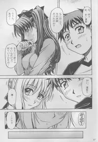 (C69) [TEYAN-DAY (Ohkaneda Hirota, Hagane Tetsu)] Gekkan Mapodon 1 Gatsugou (Fate/stay night)