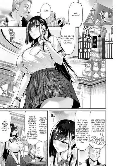 Ojou-sama Chikan Train