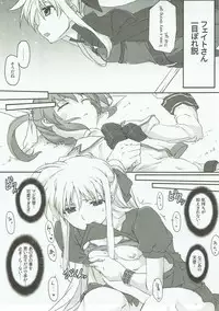 (C93) [STROLL IN THE WOODS !! (ELF)] Honpen no Sukima no Ohanashi o Kangaete Mita. (Mahou Shoujo Lyrical Nanoha)