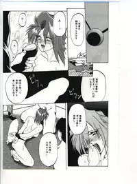 [Sanbun Kyoden] Shakunetsu no Honoo