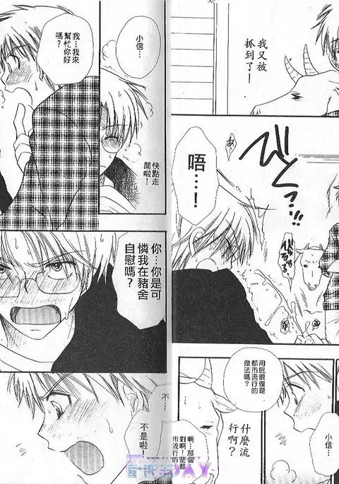 ANIMAL PLAY | 襲擊