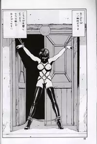 (C60) [ALPS, Okachimentaiko, Rippadou (Various)] Next Climax Magazine 7 - Rumic World (Various)