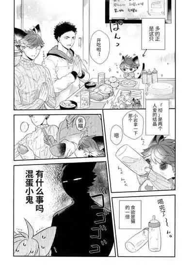 Iwa-chan no Neko ni Naritai 6 | 我想成为小岩的猫6