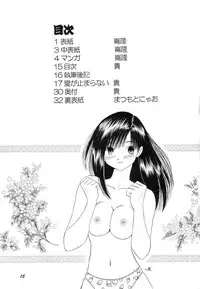 (C66) [Studio Boxer (Shima Takashi, Taka)] HOHETO 29 (Ichigo 100%)