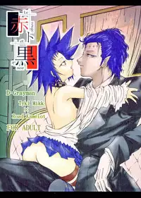 (C71) [Yuugen Sangyou Sukima Kaze (Tanken Harahara)] Aka to Kuro - Le rouge et le noir - (D.Gray-man)