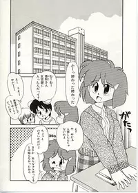 [DONKEY] Fuwa Fuwa Sunny Side