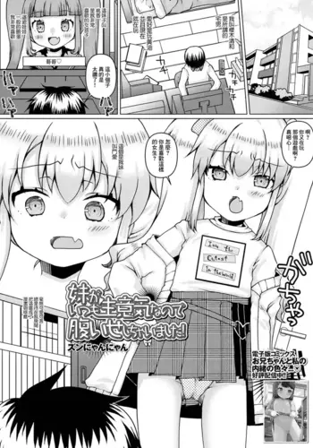 [Zun Nyannyan] Imouto ga Itsumo Namaiki nanode Haraise Shichaimashita! (Digital Puni Pedo! Vol. 27) [Chinese]