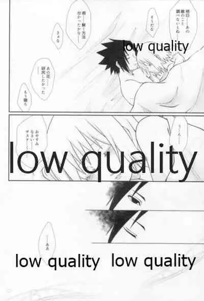 Time Travel Honeymoon 2