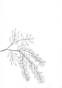 (C92) [Noraneko-no-Tama (Yukino Minato)] Hikari no Kimi no Saganaki Keikaku <Fujitsubo> [Chinese] [脸肿汉化组]