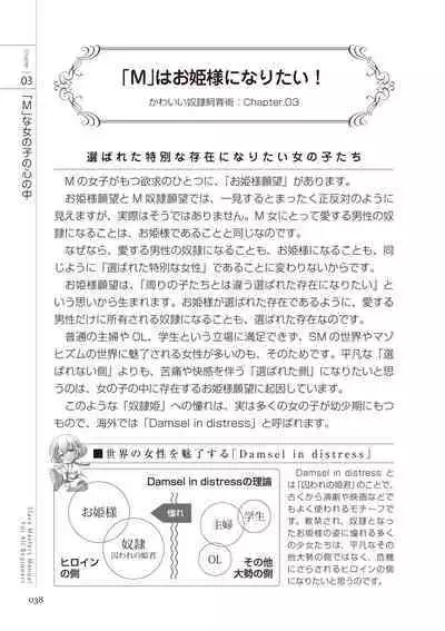 Zero kara Hajimeru SM Manual Kawaii Dorei Shiikujutsu