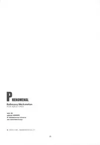 [R-WORKS] PHENOMENAL (P3)
