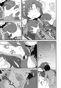 (Reitaisai 11) [Fugudoku (Katou Fuguo)] SURUDAKE Nana. (Touhou Project)