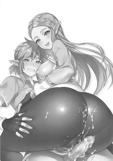 Hyrule Hanei no Tame no Katsudou! | Activities for the Sake of Hyrule’s Future!