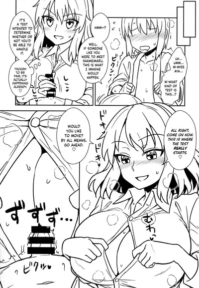 (C92) [110-GROOVE (Itou Yuuji)] Aya-san to Himitsuzukuri (Touhou Project) [English] [BoundaryTL]