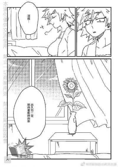 (Douyara Deban no Youda! 17) [Ultimate safaripark (Horiuchi Mochiko)] Saraba Itoshi no (Boku no Hero Academia) [Chinese]