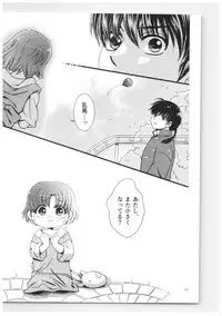 (SPARK13) [Yanagi-tei (Yanagi)] RaA Sairokushuu - Strawberry LIFE (Ranma 1/2)