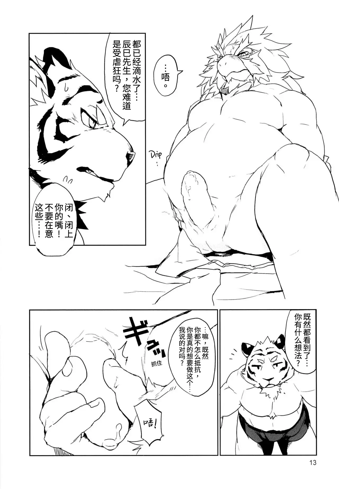 Ryuujou to Kohaku | 龙情虎搏