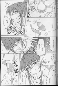 (CR33) [SHD (Buchou Chinke)] BG (King of Fighters)