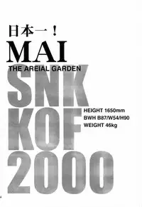 (C59) [MG WORKS (Isou Doubaku)] NINJA MANIA MILLENNIUM (Dead or Alive, King of Fighters)