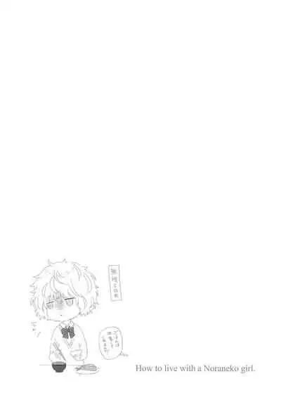 Noraneko Shoujo to no Kurashikata - How to Live with a Noraneko Girl.