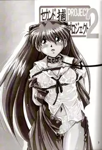 [Thirty Saver Street 2D Shooting (Maki Hideto, Sawara Kazumitsu)] Second Hobaku Project 2 (Neon Genesis Evangelion) [English]