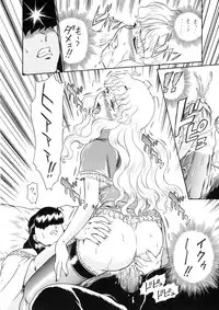 (C65) [Rat Tail (Irie Yamazaki)] Princess Harem